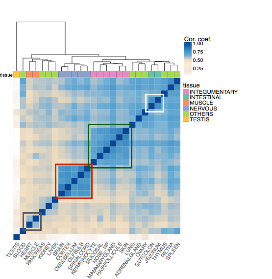 Dog lncRNA project