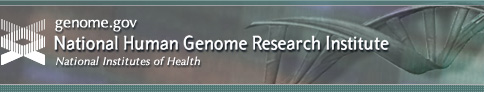 dog genetics